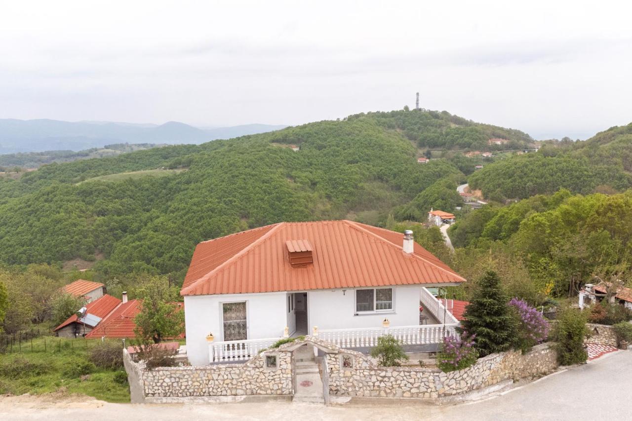Vista De Montana Meteora II Villa Vlachava Eksteriør billede